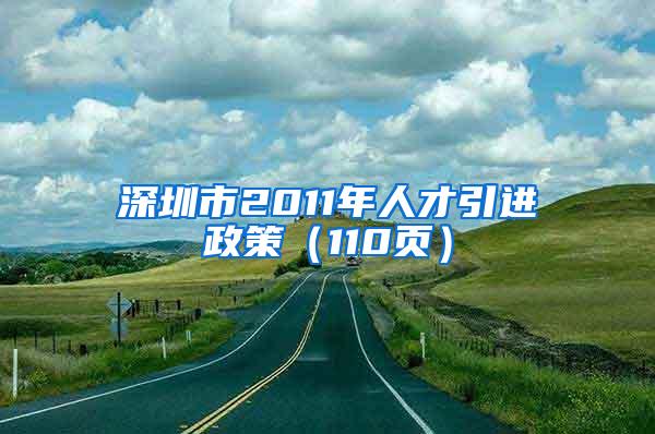 深圳市2011年人才引进政策（110页）
