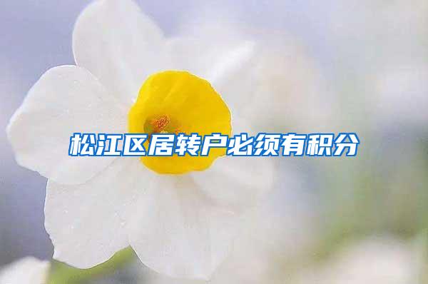 松江区居转户必须有积分