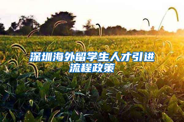 深圳海外留学生人才引进流程政策