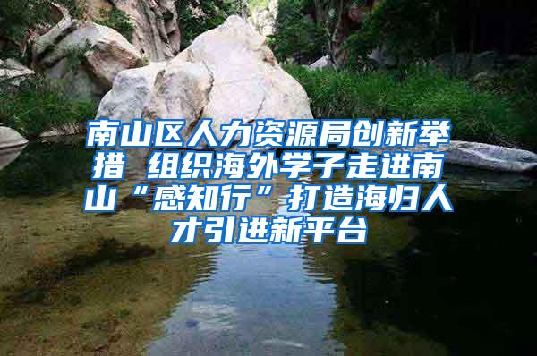 南山区人力资源局创新举措 组织海外学子走进南山“感知行”打造海归人才引进新平台