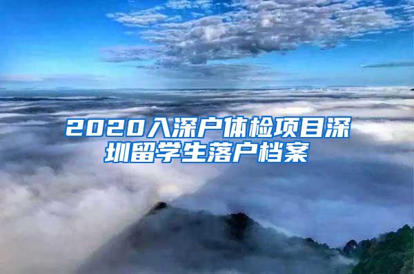 2020入深户体检项目深圳留学生落户档案