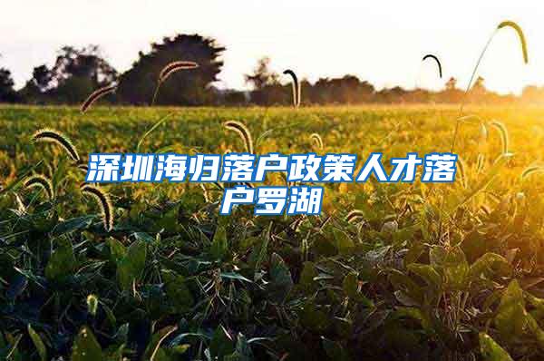 深圳海归落户政策人才落户罗湖