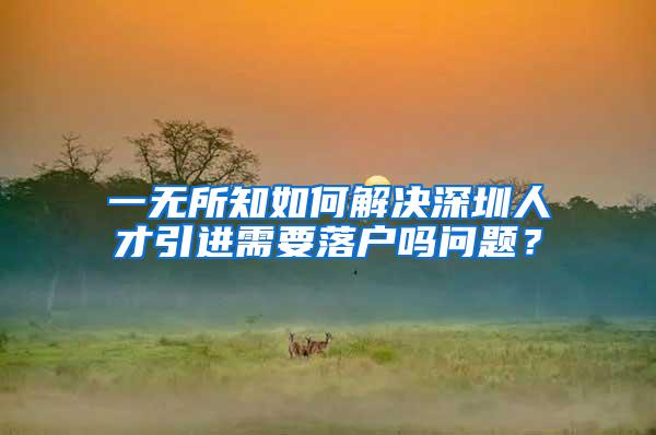一无所知如何解决深圳人才引进需要落户吗问题？