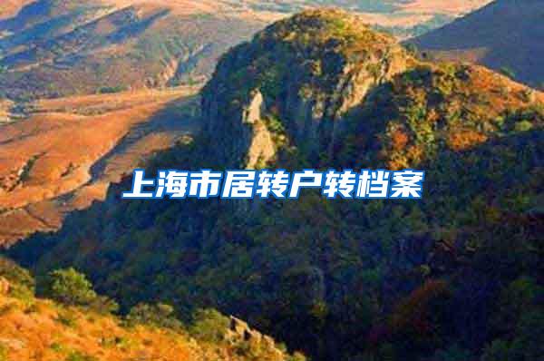 上海市居转户转档案