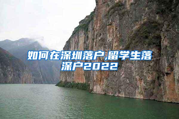 如何在深圳落户,留学生落深户2022