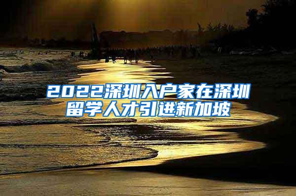 2022深圳入户家在深圳留学人才引进新加坡