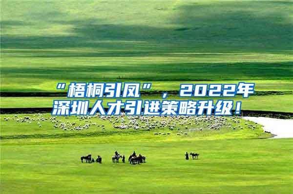 “梧桐引凤”，2022年深圳人才引进策略升级！