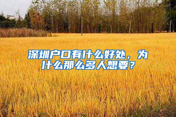 深圳户口有什么好处，为什么那么多人想要？