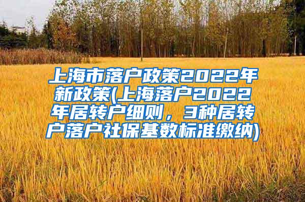 上海市落户政策2022年新政策(上海落户2022年居转户细则，3种居转户落户社保基数标准缴纳)