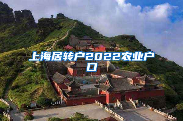 上海居转户2022农业户口