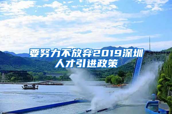 要努力不放弃2019深圳人才引进政策