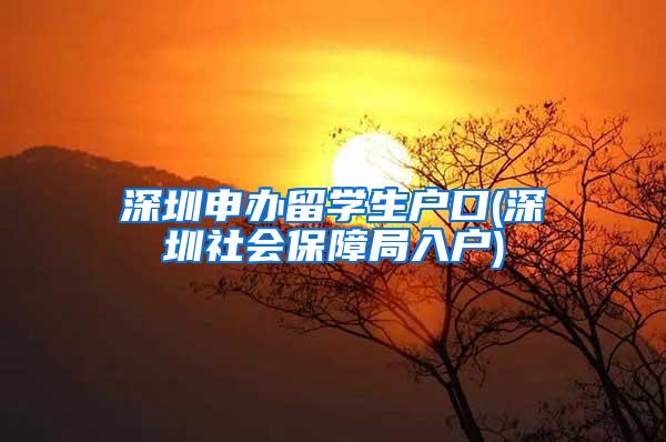 深圳申办留学生户口(深圳社会保障局入户)