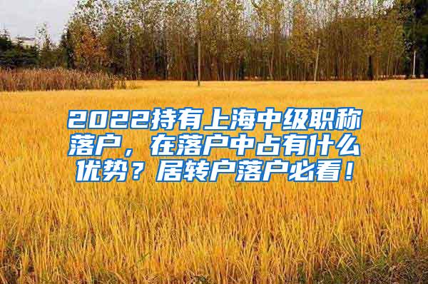 2022持有上海中级职称落户，在落户中占有什么优势？居转户落户必看！
