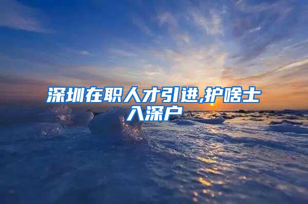 深圳在职人才引进,护啥士入深户