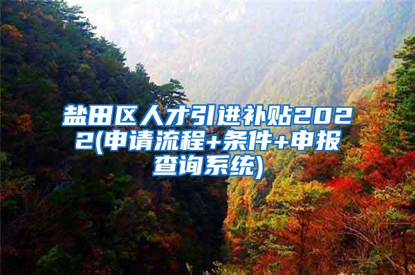 盐田区人才引进补贴2022(申请流程+条件+申报查询系统)