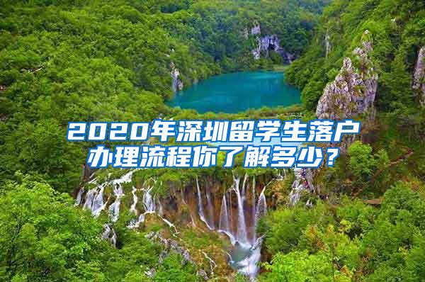 2020年深圳留学生落户办理流程你了解多少？