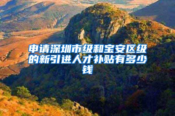 申请深圳市级和宝安区级的新引进人才补贴有多少钱