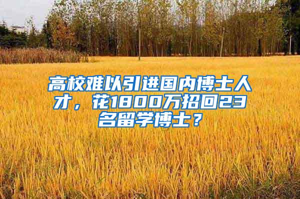 高校难以引进国内博士人才，花1800万招回23名留学博士？