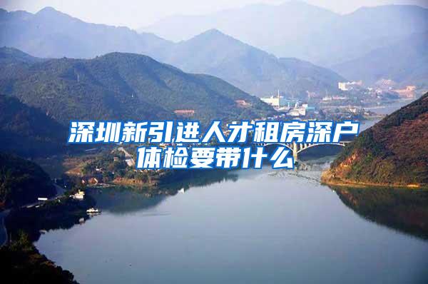 深圳新引进人才租房深户体检要带什么