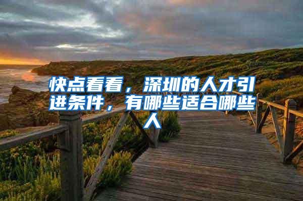 快点看看，深圳的人才引进条件，有哪些适合哪些人