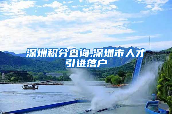 深圳积分查询,深圳市人才引进落户