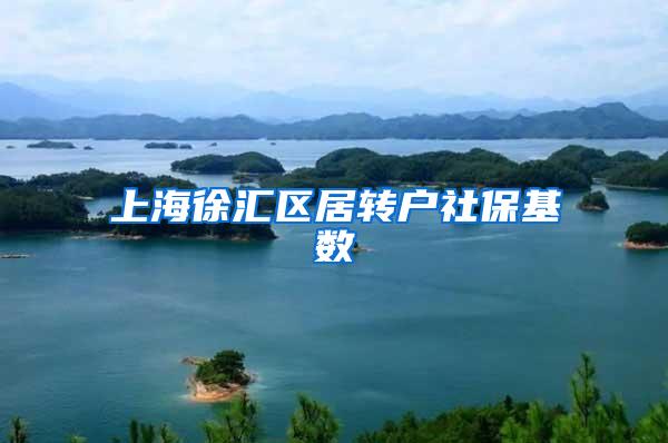 上海徐汇区居转户社保基数