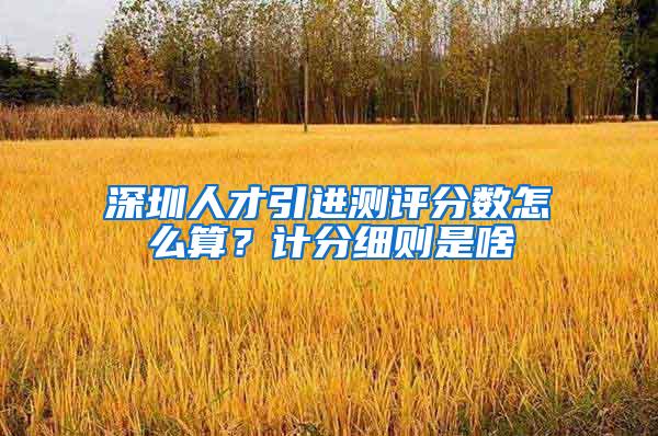 深圳人才引进测评分数怎么算？计分细则是啥