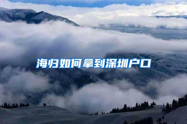 海归如何拿到深圳户口