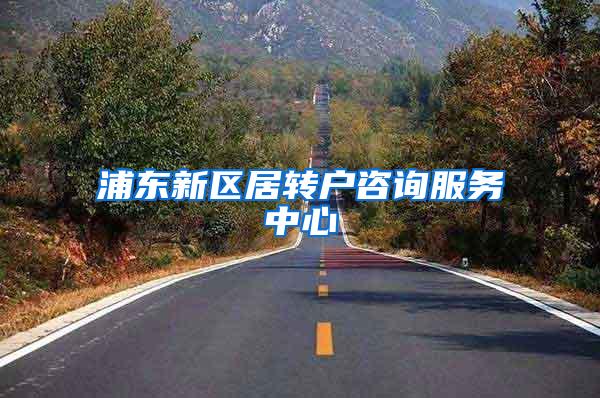 浦东新区居转户咨询服务中心
