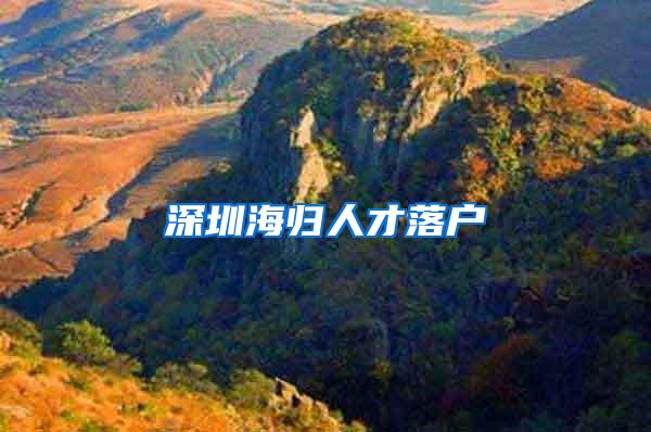 深圳海归人才落户