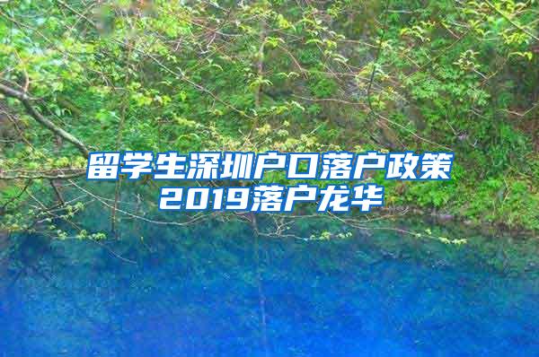 留学生深圳户口落户政策2019落户龙华