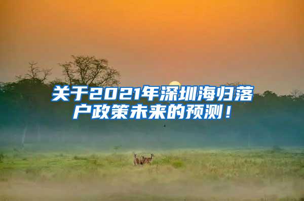 关于2021年深圳海归落户政策未来的预测！