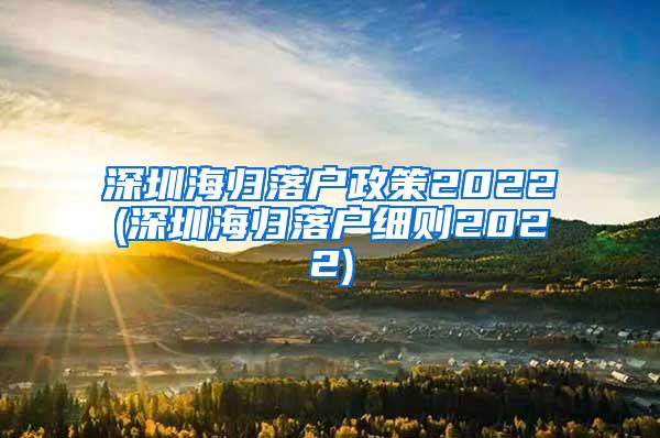 深圳海归落户政策2022(深圳海归落户细则2022)