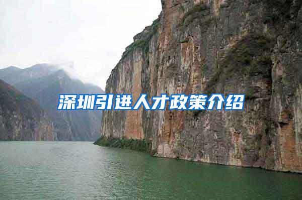 深圳引进人才政策介绍