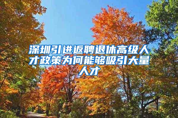 深圳引进返聘退休高级人才政策为何能够吸引大量人才