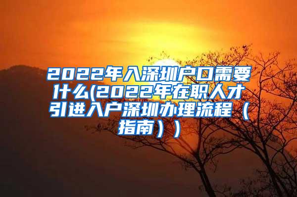 2022年入深圳户口需要什么(2022年在职人才引进入户深圳办理流程（指南）)