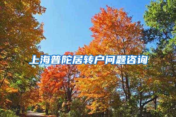 上海普陀居转户问题咨询