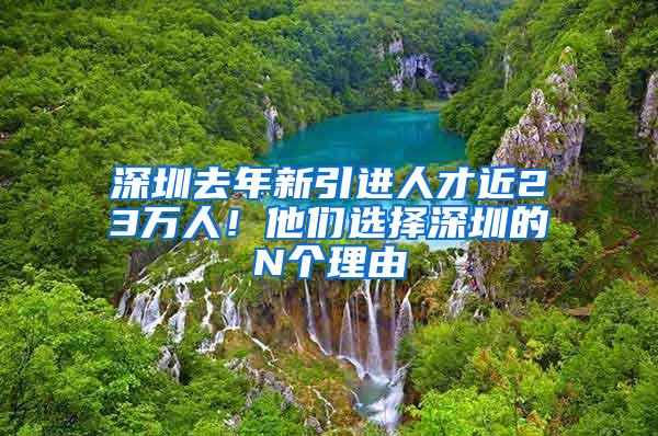 深圳去年新引进人才近23万人！他们选择深圳的N个理由