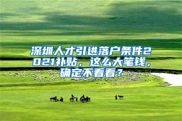 深圳人才引进落户条件2021补贴，这么大笔钱，确定不看看？