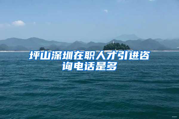 坪山深圳在职人才引进咨询电话是多