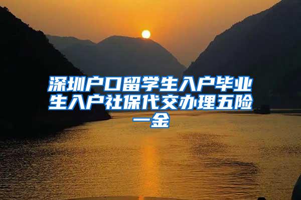 深圳户口留学生入户毕业生入户社保代交办理五险一金