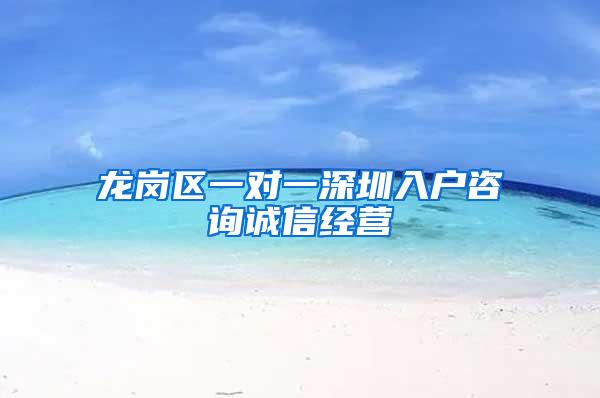 龙岗区一对一深圳入户咨询诚信经营