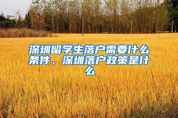 深圳留学生落户需要什么条件，深圳落户政策是什么