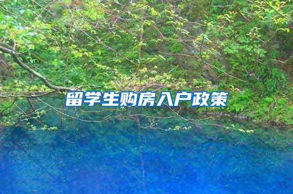 留学生购房入户政策