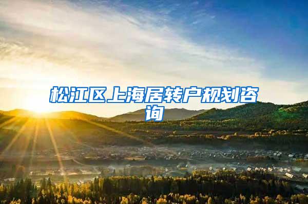 松江区上海居转户规划咨询
