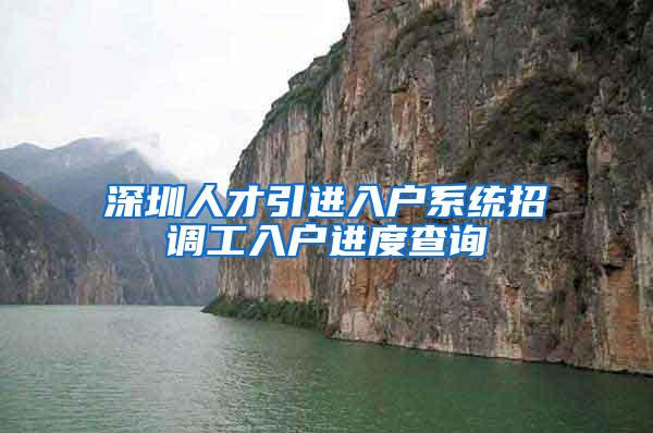 深圳人才引进入户系统招调工入户进度查询