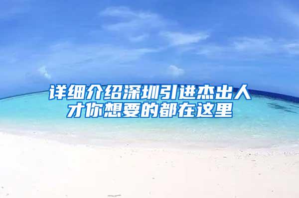 详细介绍深圳引进杰出人才你想要的都在这里
