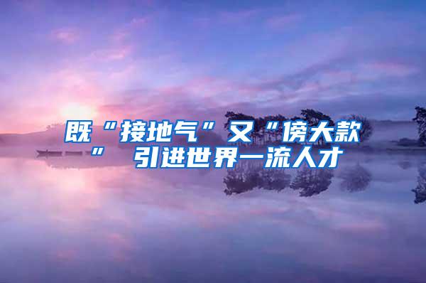 既“接地气”又“傍大款” 引进世界一流人才