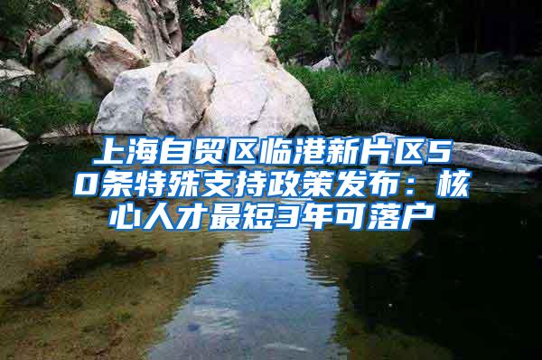 上海自贸区临港新片区50条特殊支持政策发布：核心人才最短3年可落户