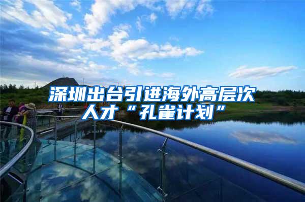 深圳出台引进海外高层次人才“孔雀计划”